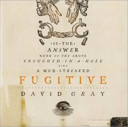 David Gray : Fugitive